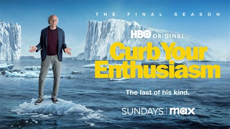 cast of final curb your enthusiasm|curb your enthusiasm final season cast.